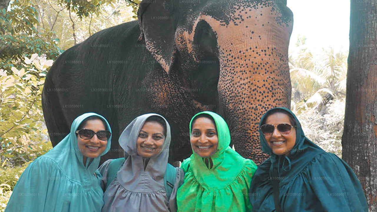 Kust och kullar (8 Dagar)