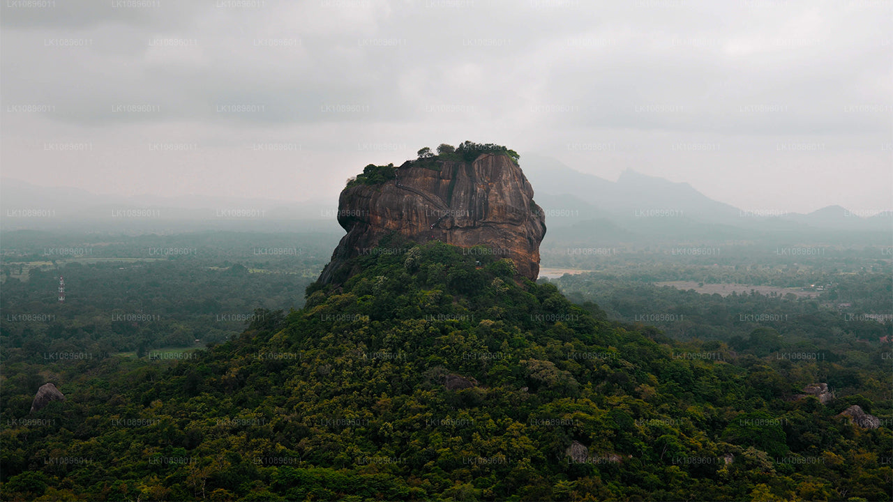 Kust och kullar (8 Dagar)