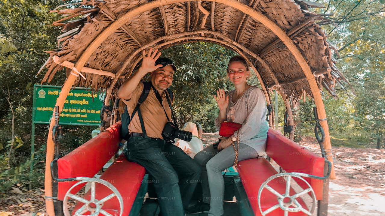 Kust och kullar (8 Dagar)