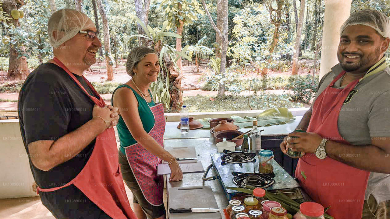 Kust och kullar (8 Dagar)