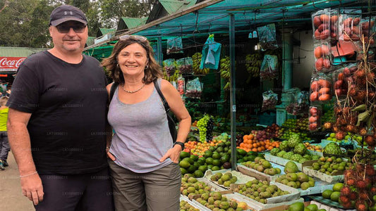 Kust och kullar (8 Dagar)