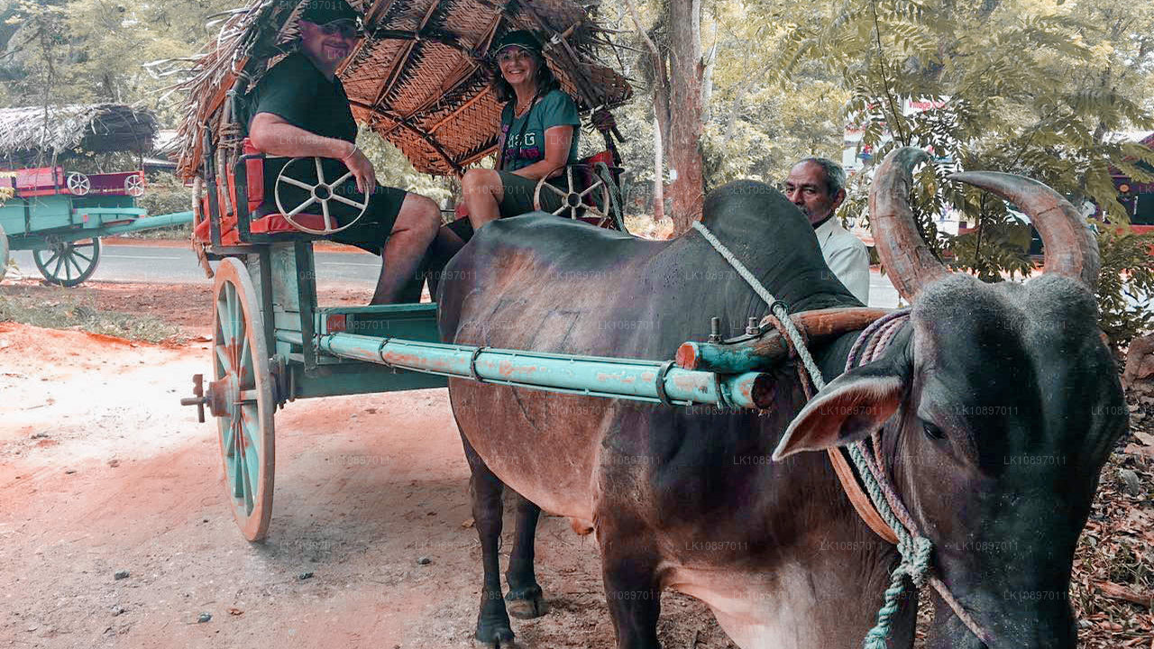 Kultur och vildmark (8 dagar)