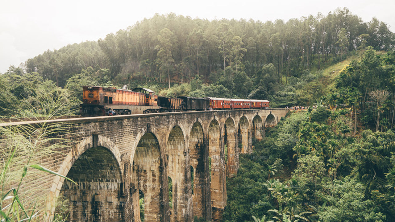 Upptäck Serendib med tåg (8 dagar)