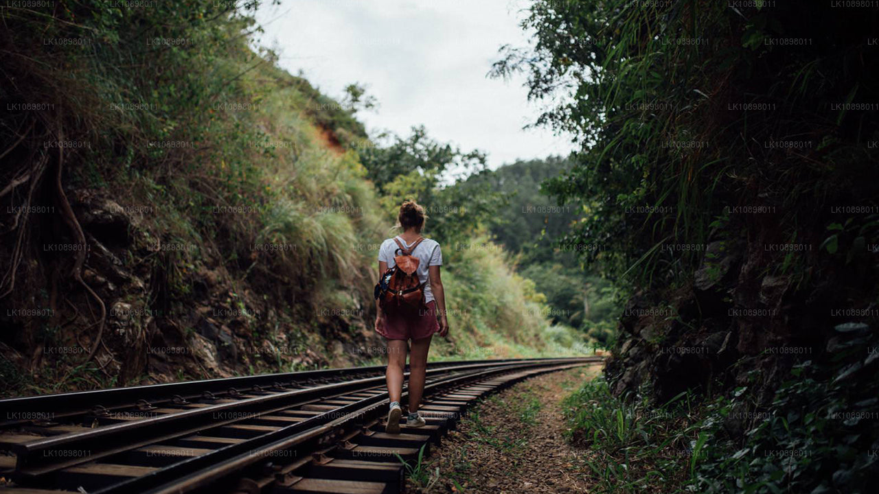 Upptäck Serendib med tåg (8 dagar)