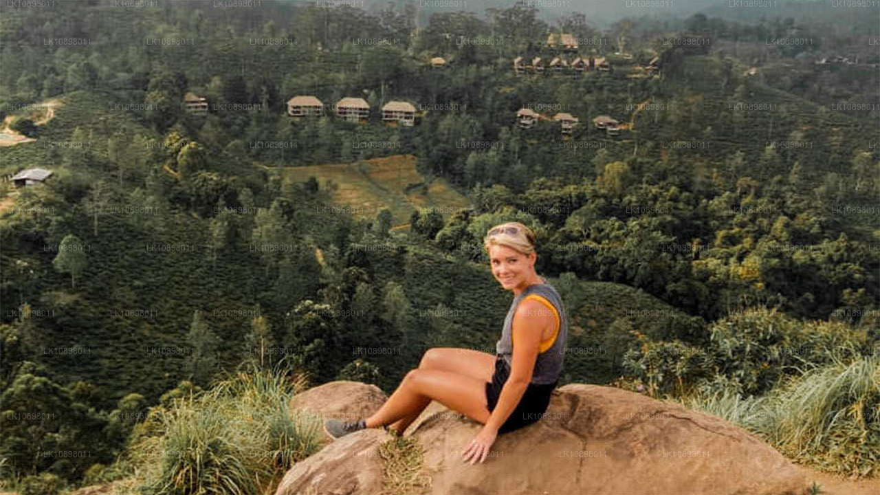 Upptäck Serendib med tåg (8 dagar)