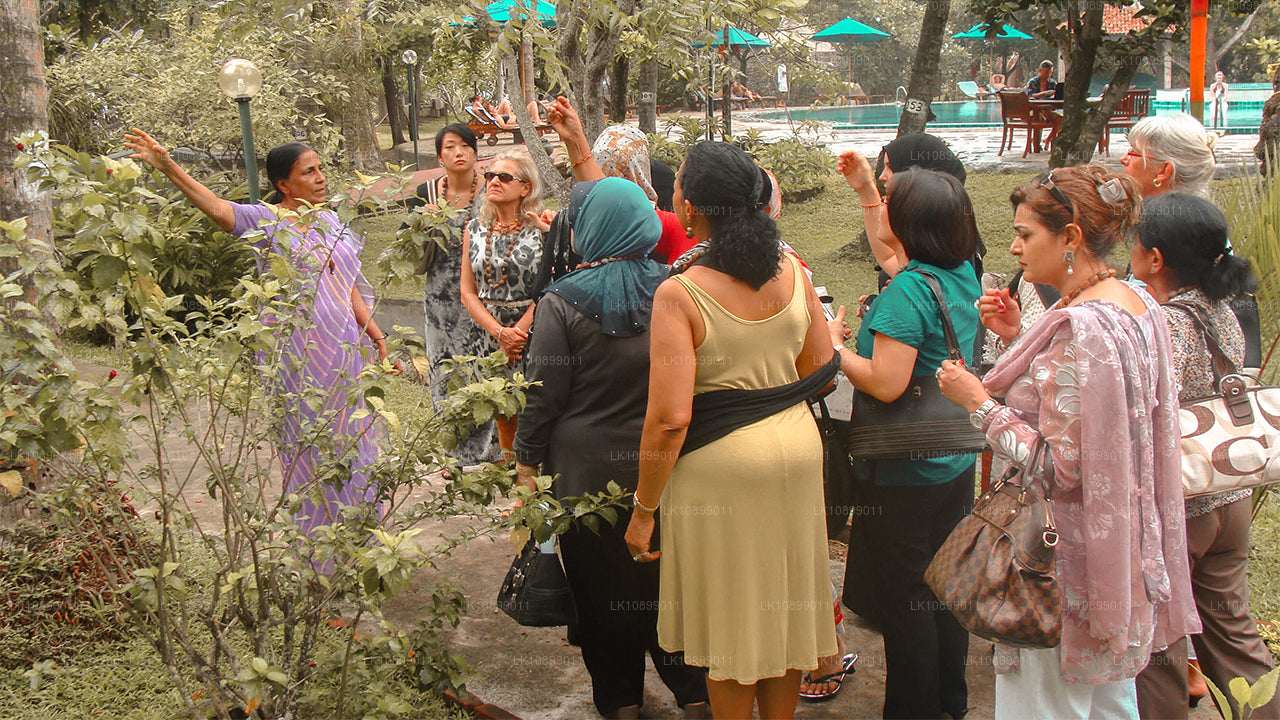 Lättnad och avkoppling med Siddalepa (8 Dagar)
