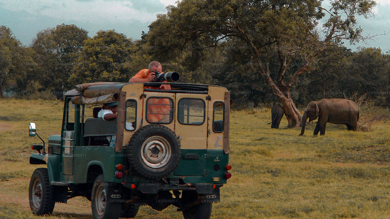 Kultur och kulturarv (9 Dagar)