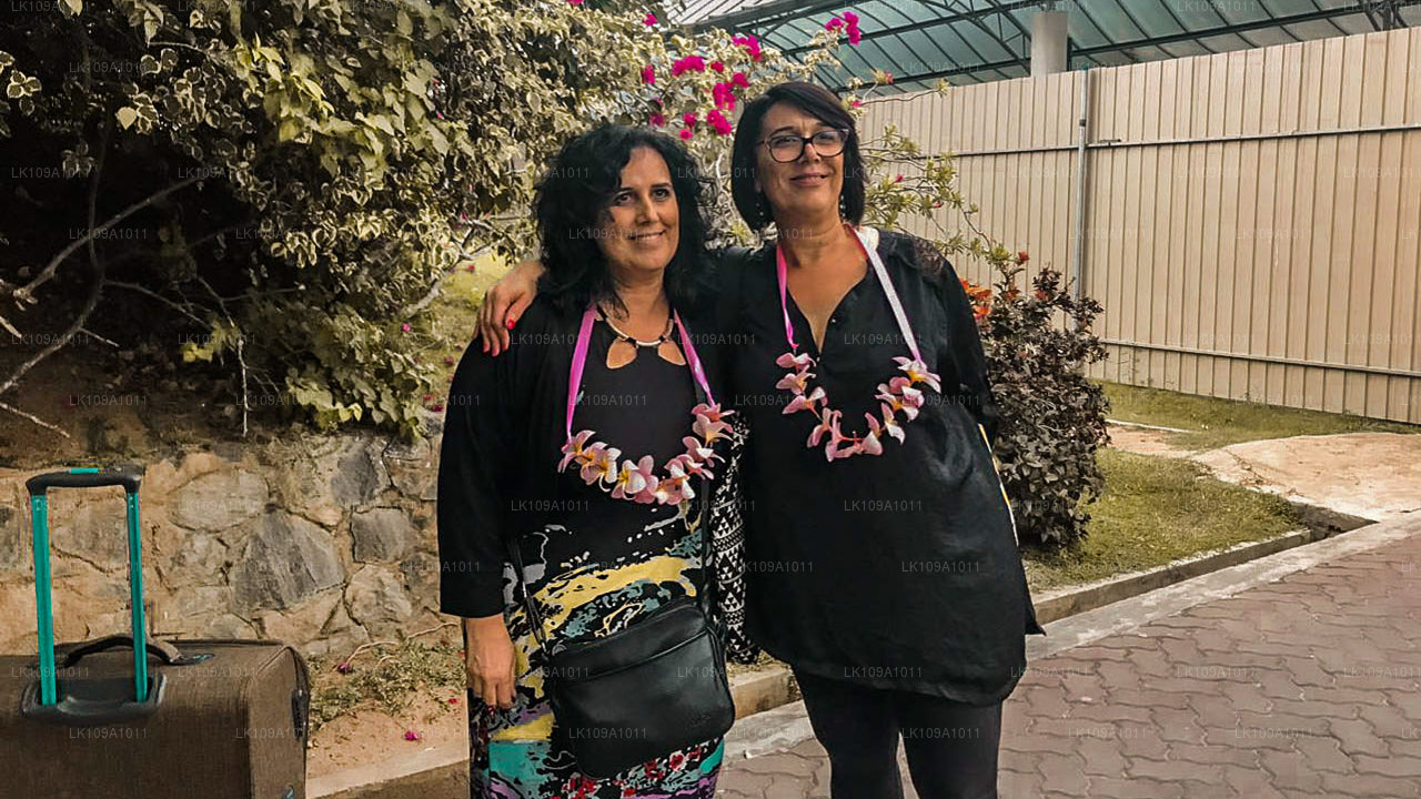 Upplev söder och kullar (9 dagar)