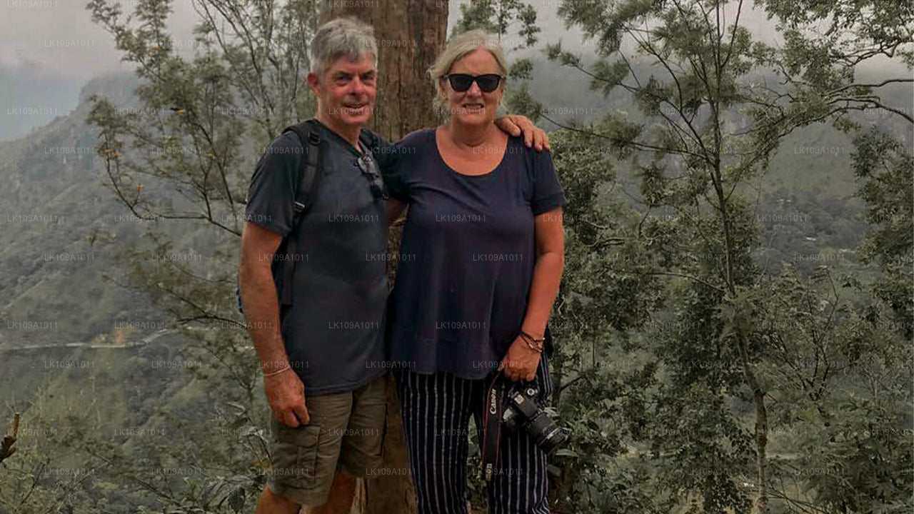 Upplev söder och kullar (9 dagar)