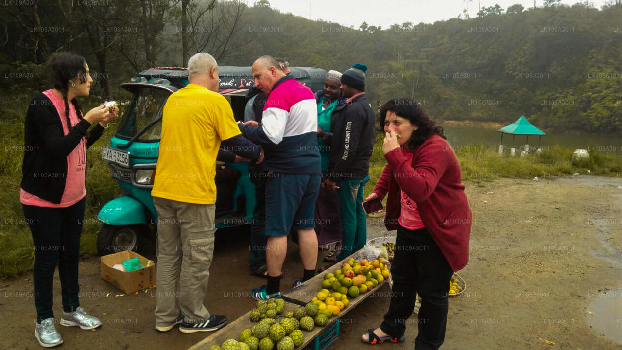 Chill Out i Sri Lanka (9 dagar)