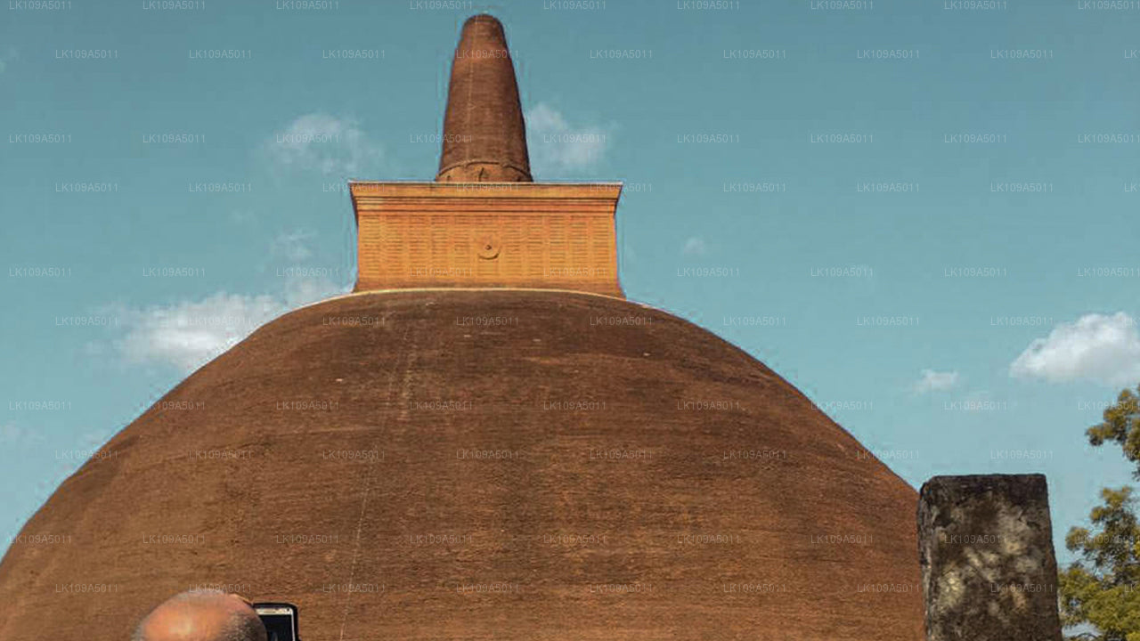 Buddhistisk pilgrimsfärdstur (9 dagar)