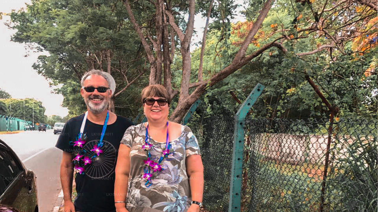 Höjdpunkter i Sri Lanka (10 dagar)