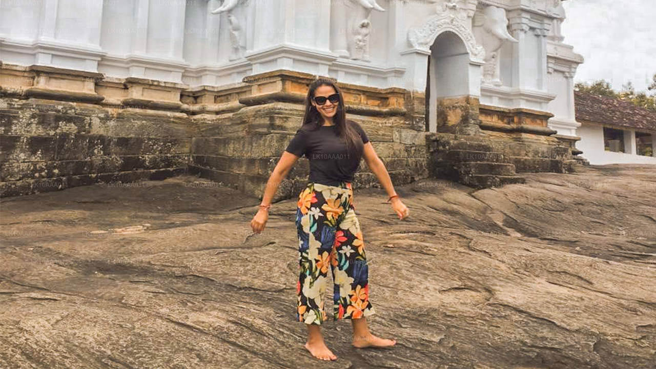 Höjdpunkter i Sri Lanka (10 dagar)