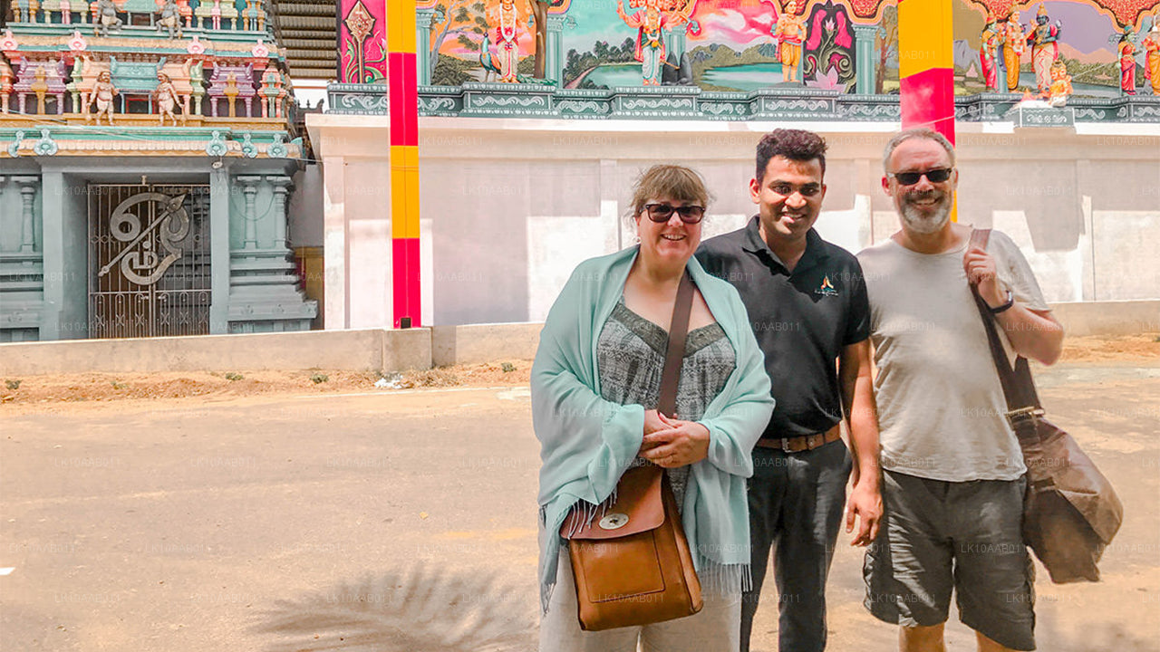 Södra stränderna i Serendib (10 dagar)