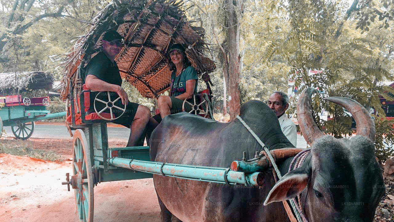 Södra stränderna i Serendib (10 dagar)