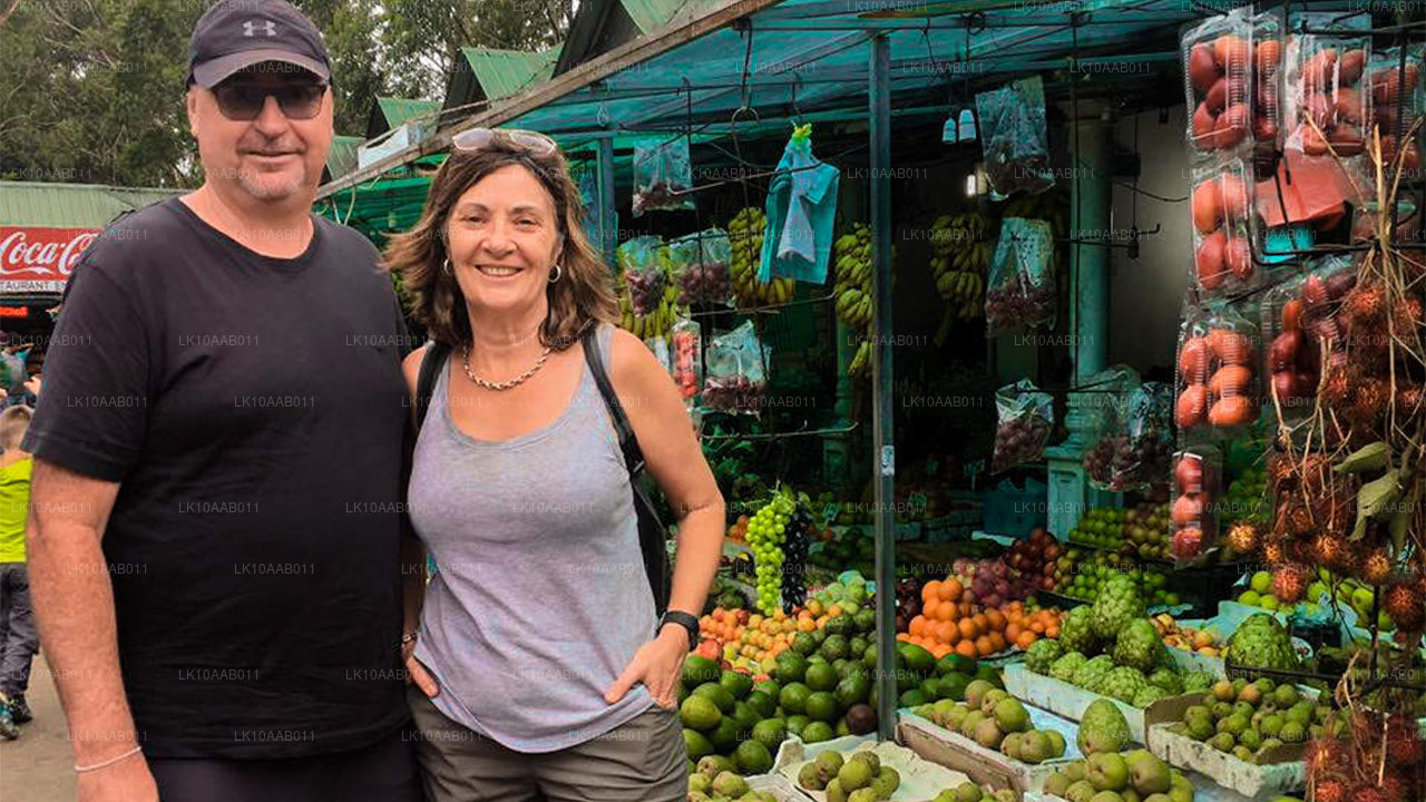Södra stränderna i Serendib (10 dagar)