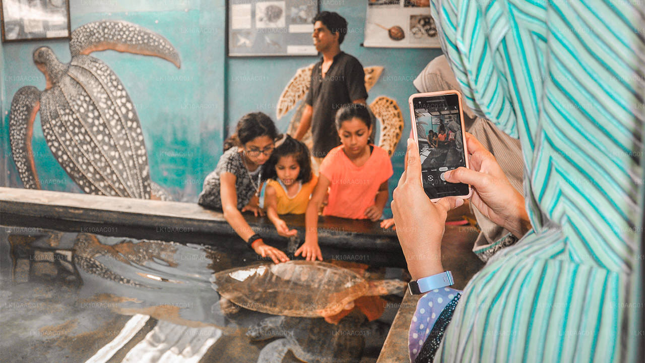 Kingdoms of Ceylon (10 Dagar)