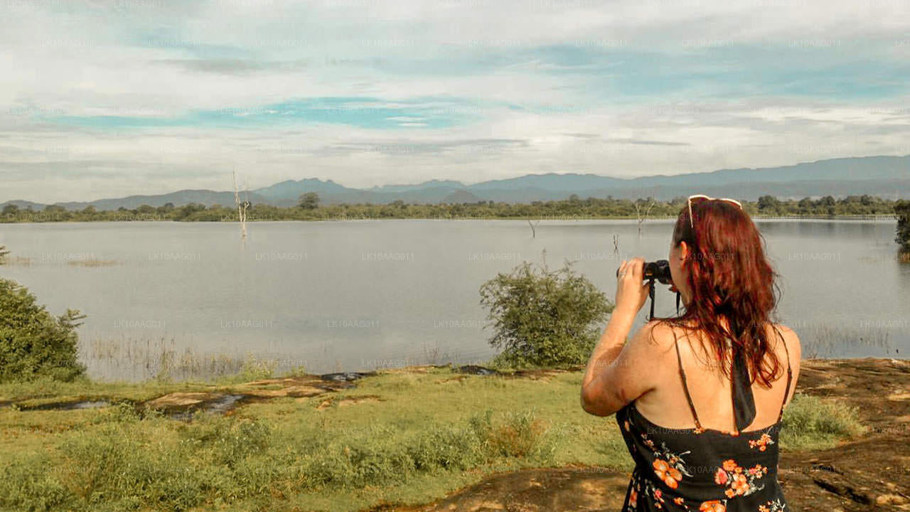 Vilda djur i Sri Lanka (10 Dagar)