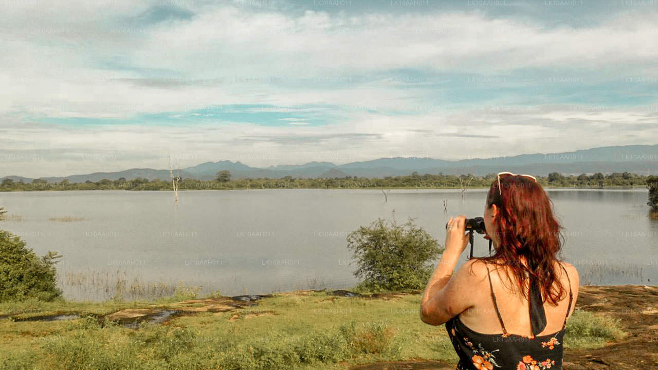 Historia och kulturarv (10 dagar)