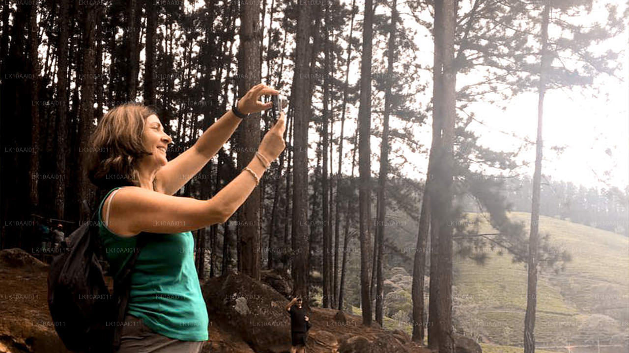 Sri Lanka Halal (Islamisk) Tour (10 Dagar)