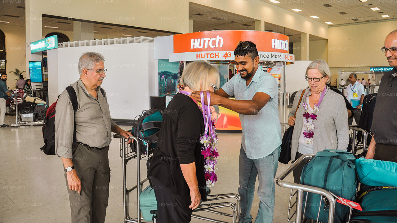 Ceylon Tea Tour (10 dagar)