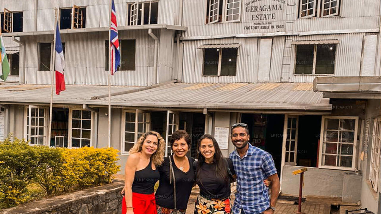 Ceylon Tea Tour (10 dagar)