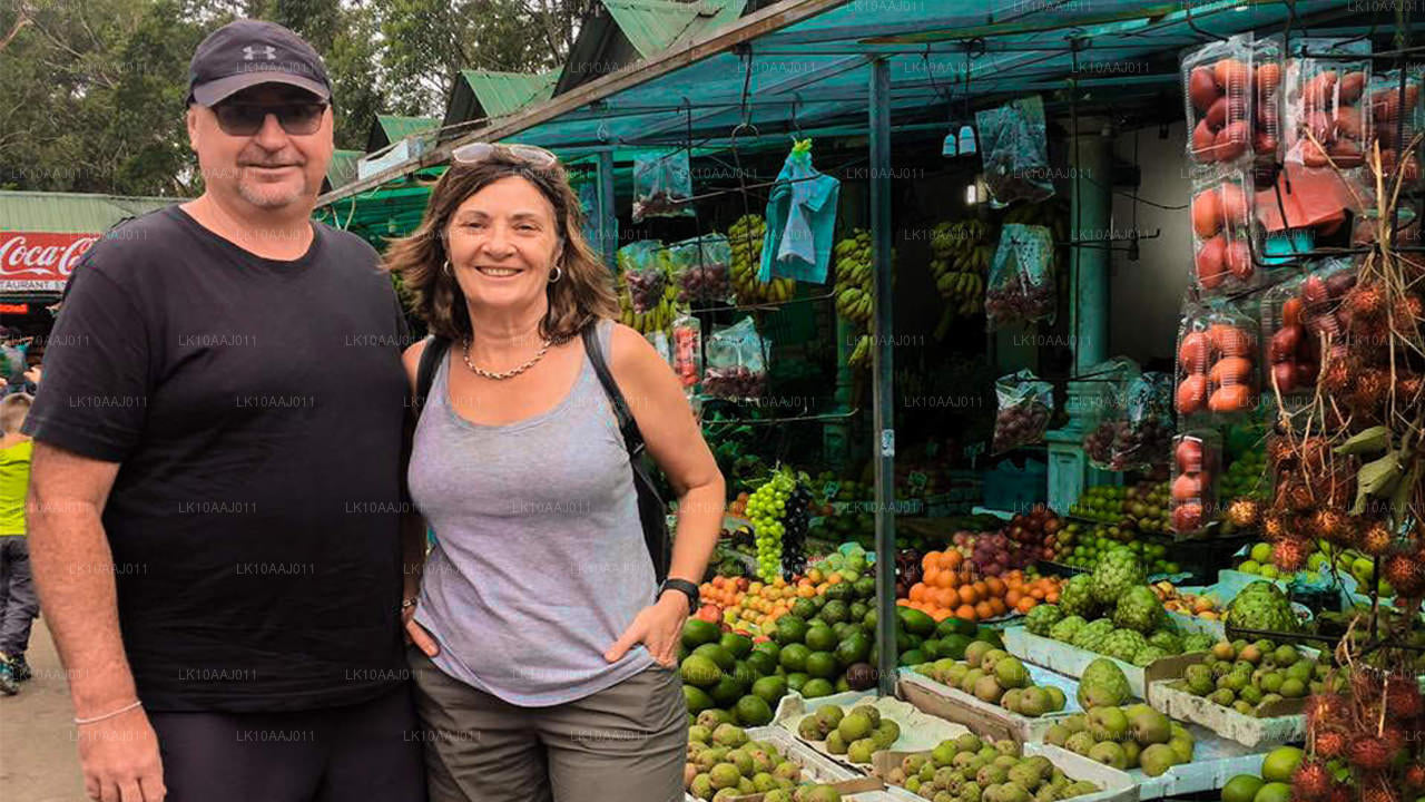 Ceylon Tea Tour (10 dagar)