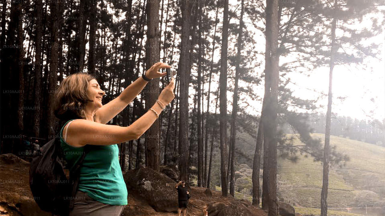 Ceylon Tea Tour (10 dagar)