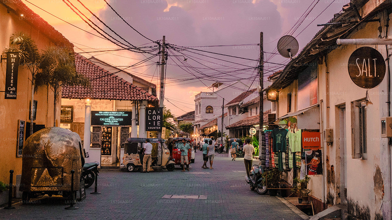 Ceylon Tea Tour (10 dagar)