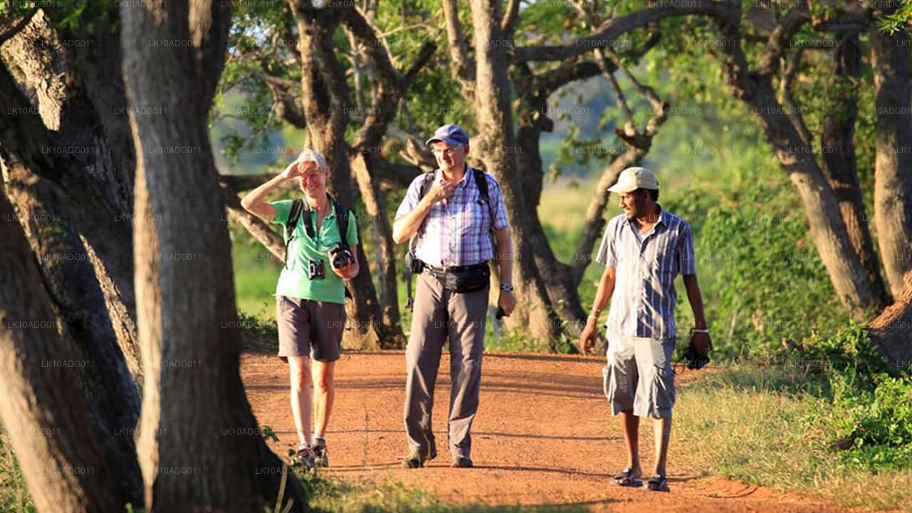 Fågelskådning och Wildlife Tour (10 dagar)