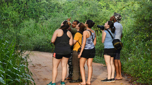Fågelskådning och Wildlife Tour (10 dagar)