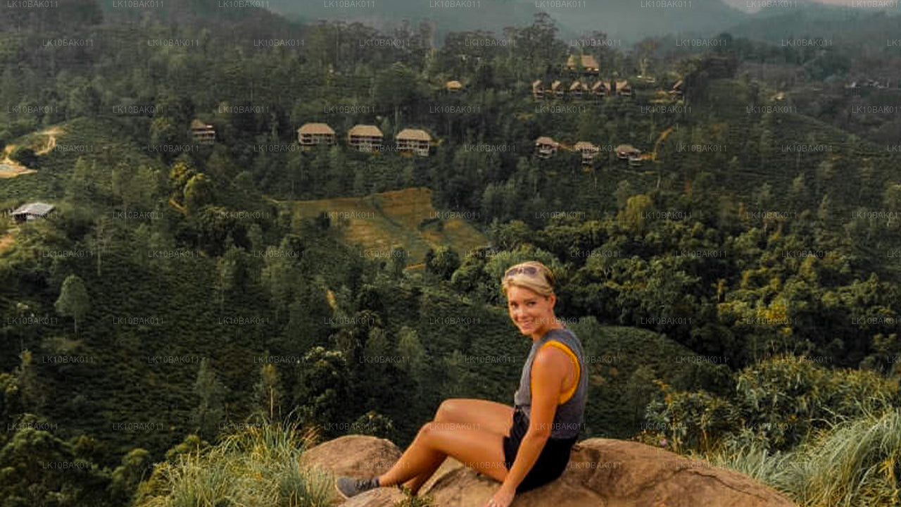 Äventyr och fritid (11 Dagar)