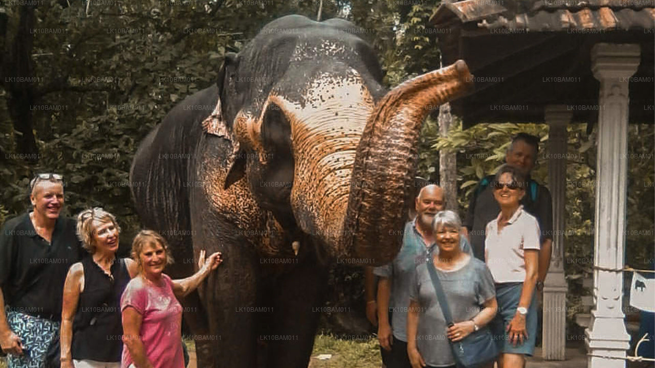 Natursköna Serendib (11 Dagar)