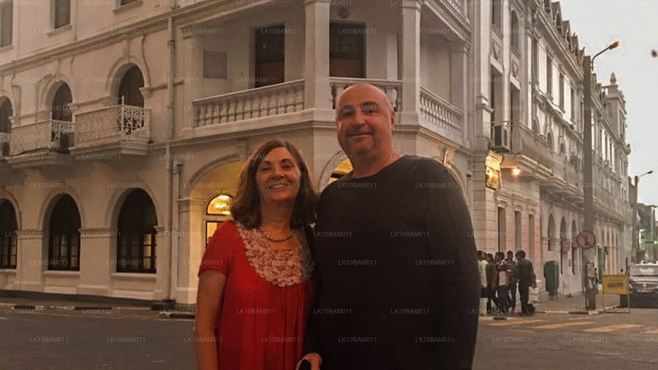 Natursköna Serendib (11 Dagar)