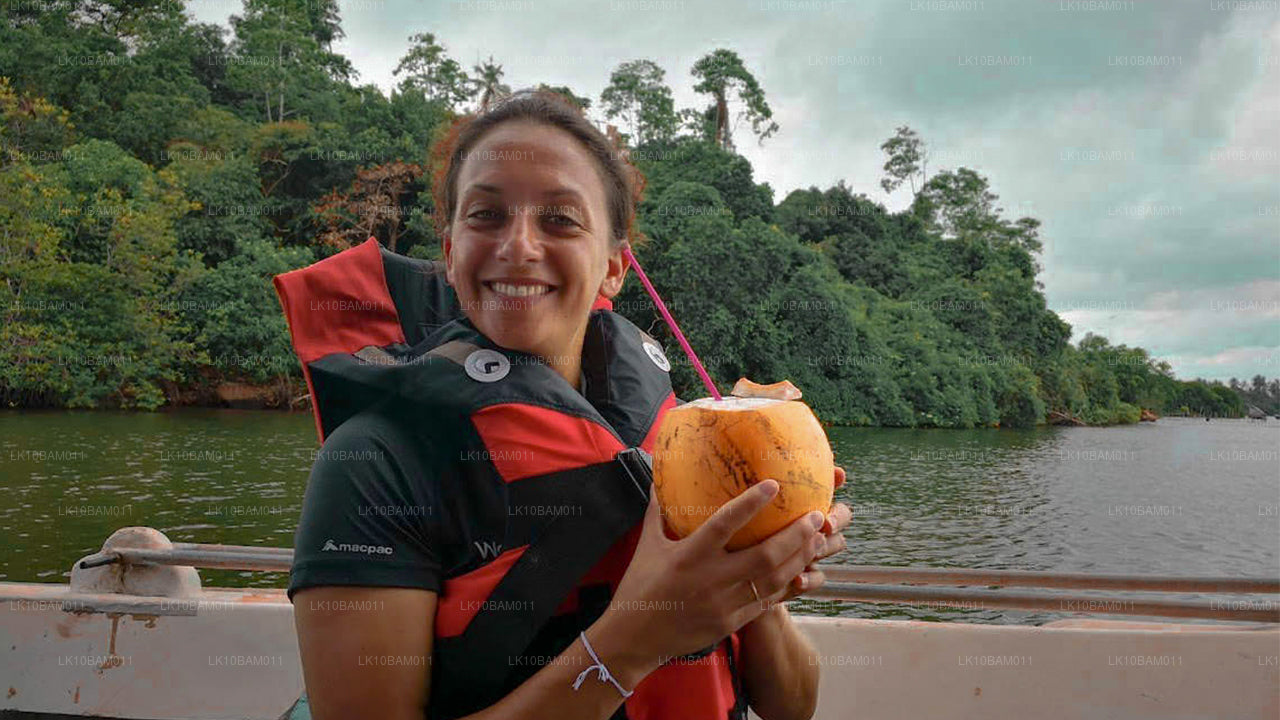 Natursköna Serendib (11 Dagar)