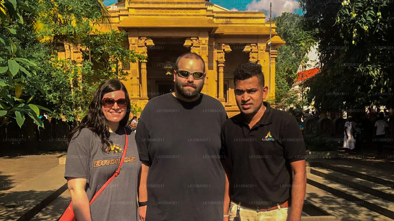 Erfarenhet av nordöstra (11 dagar)