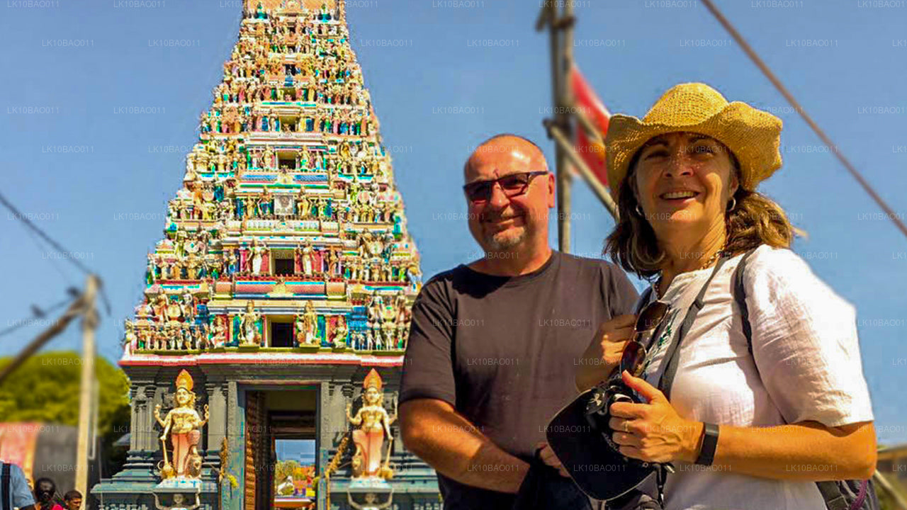 Erfarenhet av nordöstra (11 dagar)