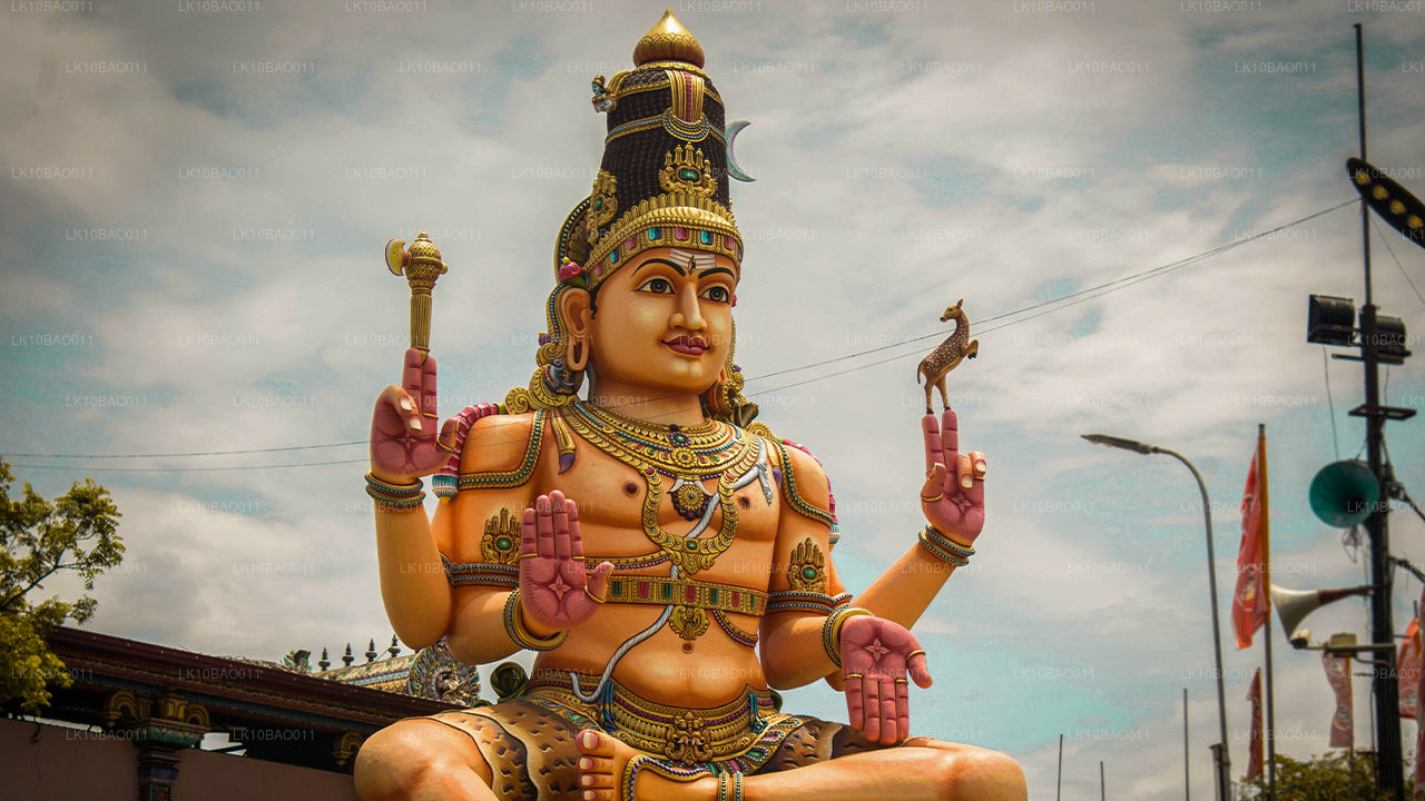 Erfarenhet av nordöstra (11 dagar)