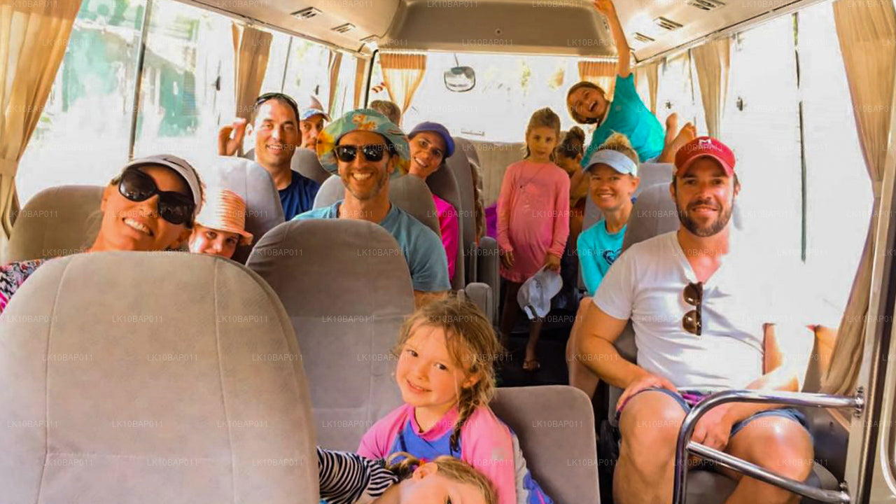 Upptäck Sanctuary (11 Dagar)