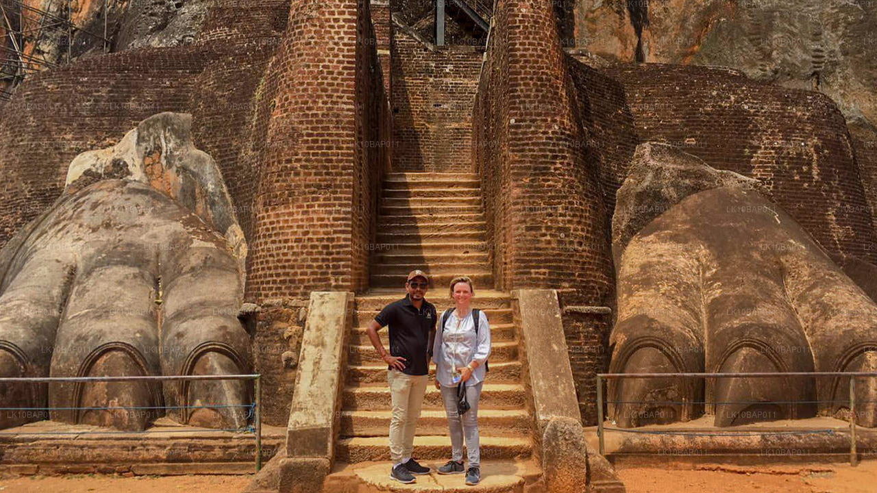 Upptäck Sanctuary (11 Dagar)