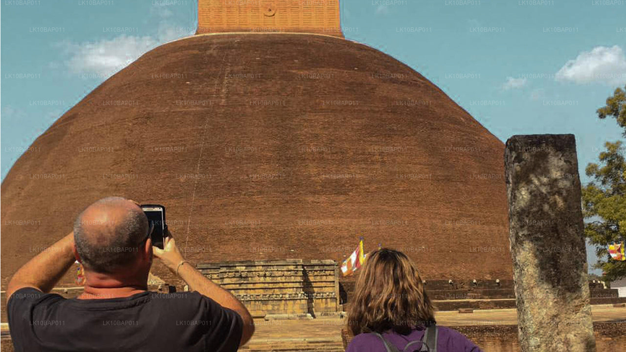 Upptäck Sanctuary (11 Dagar)