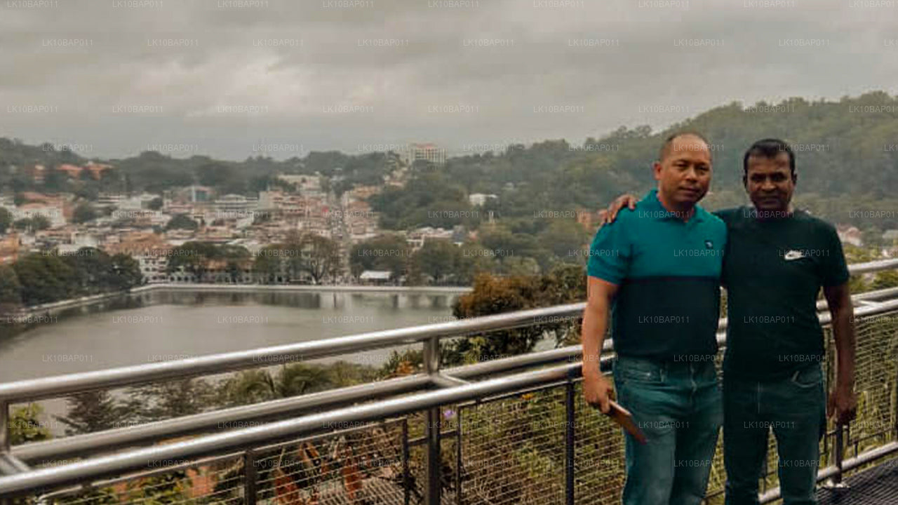 Upptäck Sanctuary (11 Dagar)