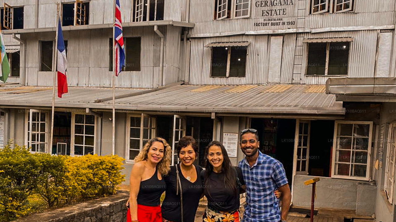 Lost in Ceylon (11 Dagar)