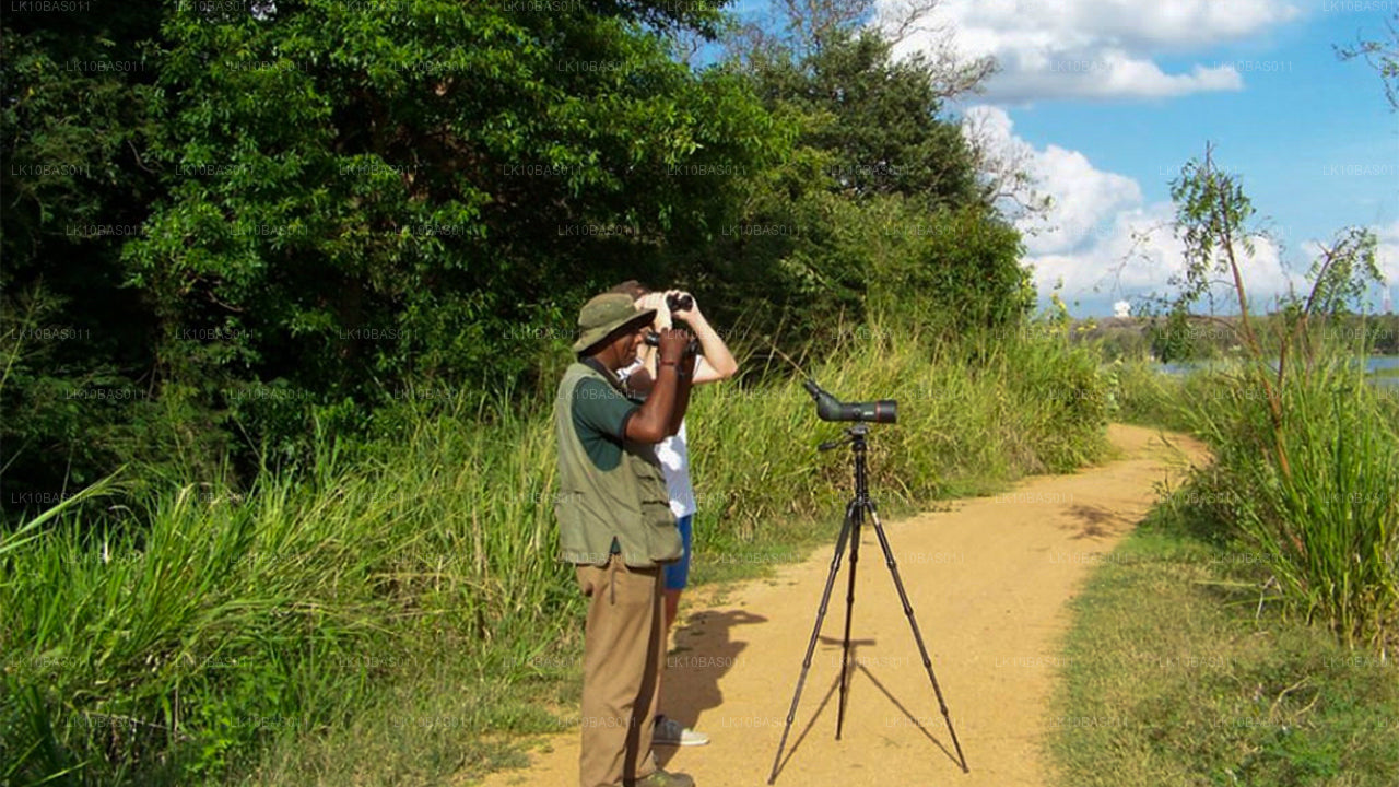 Butterfly Trail (11 Dagar)