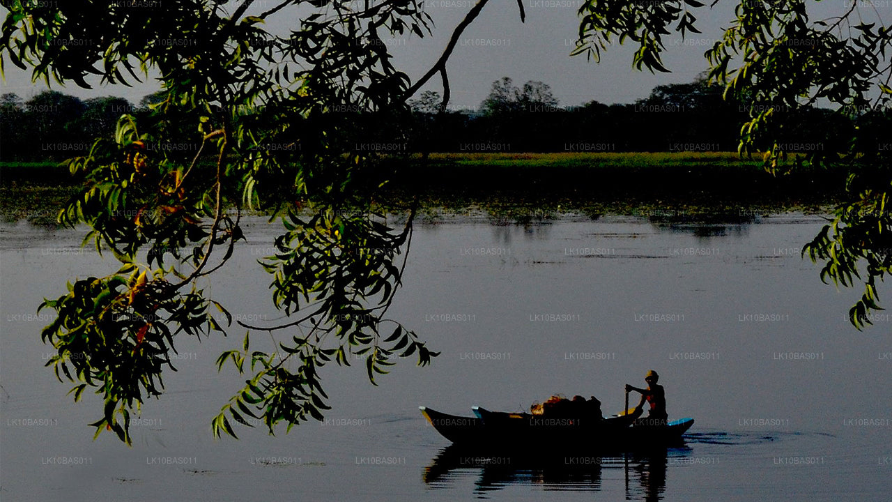 Butterfly Trail (11 Dagar)