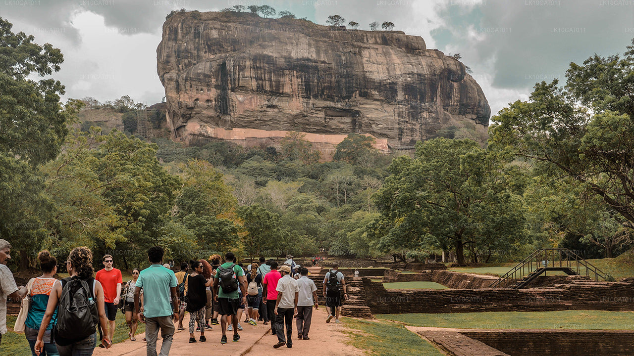 Utforska, koppla av och föryngra (12 dagar)