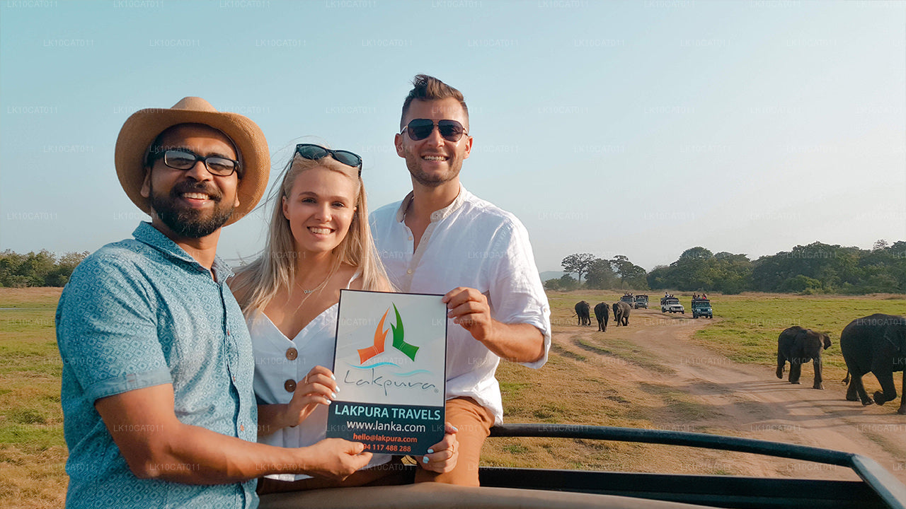 Utforska, koppla av och föryngra (12 dagar)