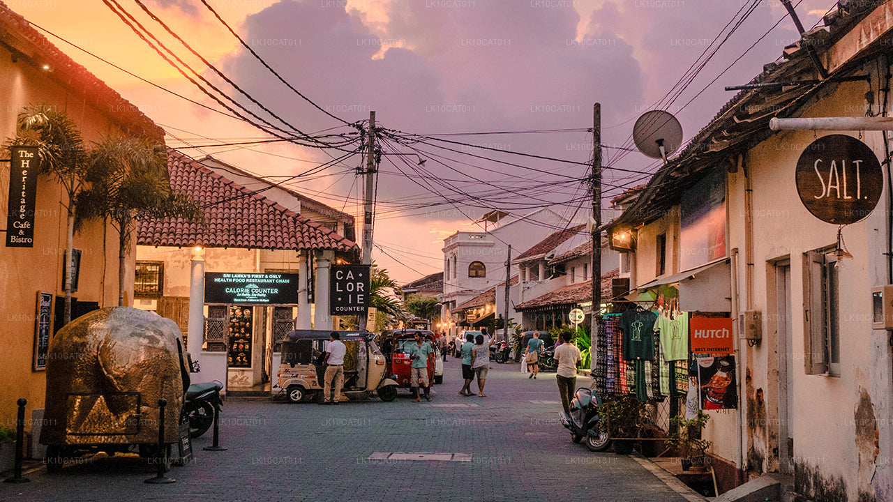 Utforska, koppla av och föryngra (12 dagar)