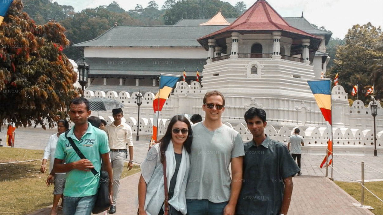 Utforska, koppla av och föryngra (12 dagar)