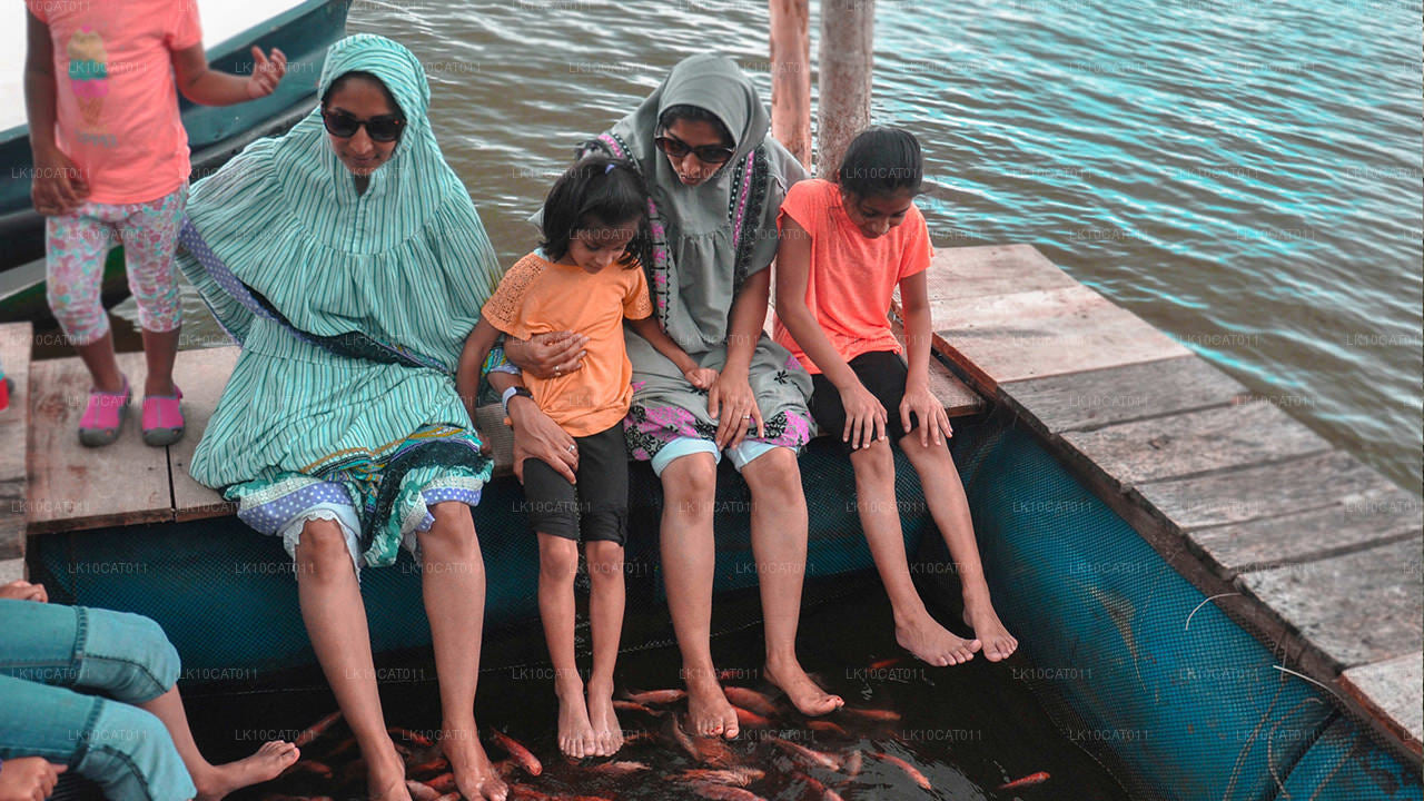 Utforska, koppla av och föryngra (12 dagar)